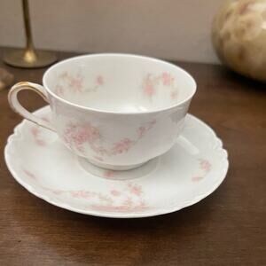 Haviland & Co. Limoges Teacup & Saucer pink floral